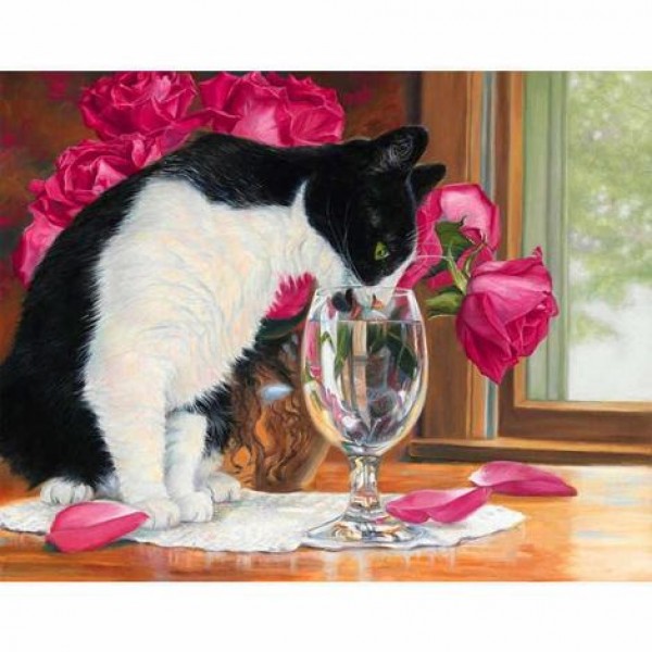 Lovely Cat Diy Paint By Numbers Kits Australia