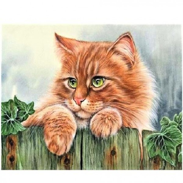 Pet Cat Diy Paint By Numbers Kits Australia