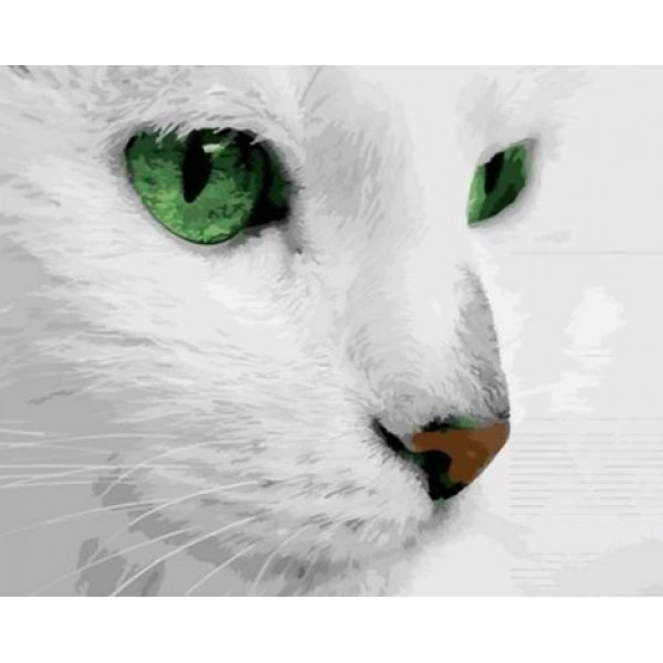 Cat Diy Paint By Numbers Kits Australia