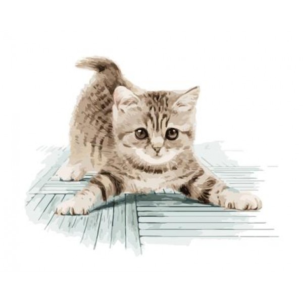 Cute Cat Diy Paint By Numbers Kits Australia