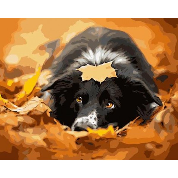 Maple Leaf Dog Diy Paint By Numbers Kits Australia