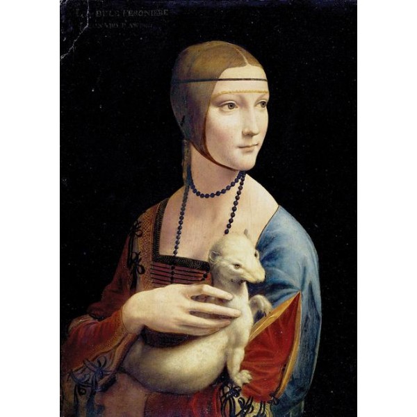 Lady By Leonardo Da Vinci Diy Paint By Numbers Kits Australia
