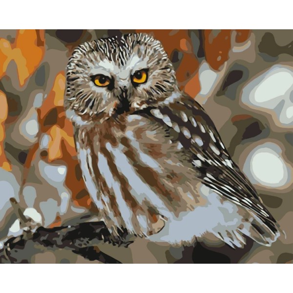 Owl Diy Paint By Numbers Kits Uk WM-340 Australia