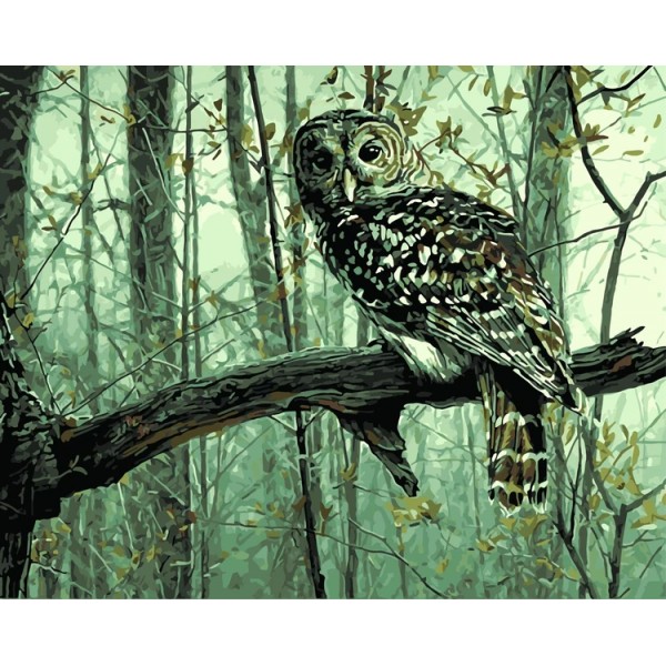 Owl Diy Paint By Numbers Kits Uk WM-581 Australia