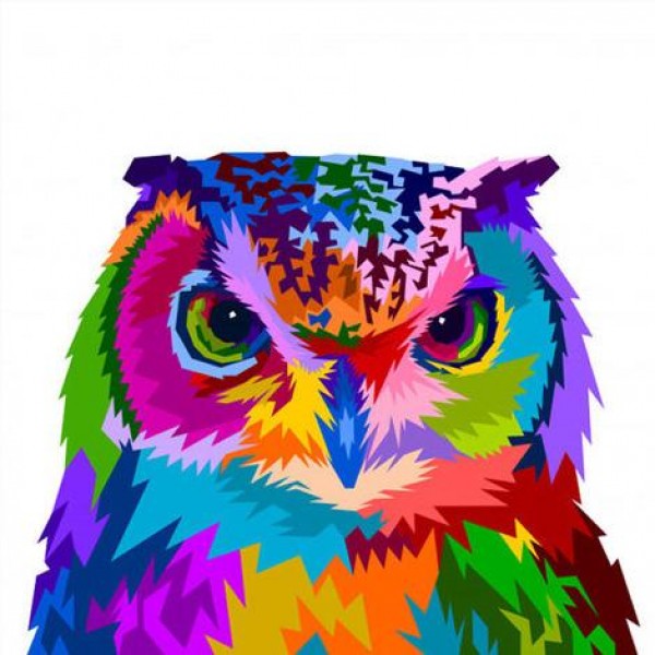 Owl Diy Paint By Numbers Kits Uk VM92156 Australia