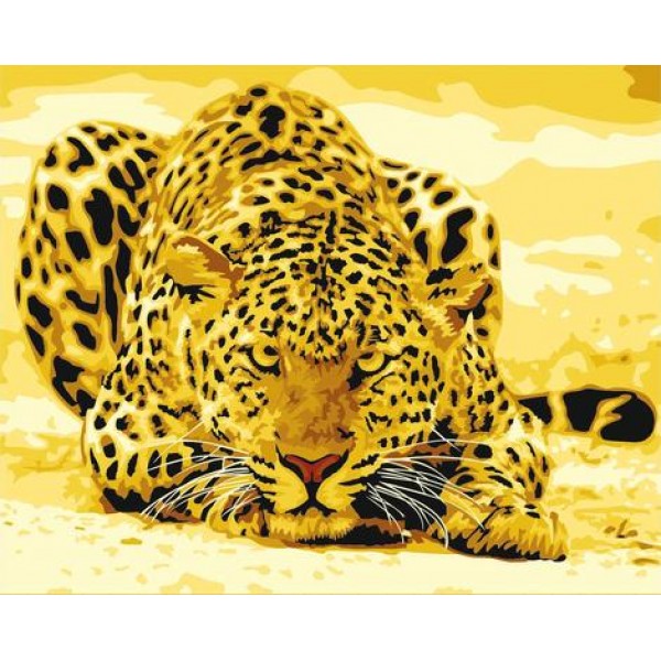 Leopard Diy Paint By Numbers Kits Australia
