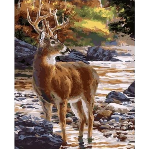 Animal Deer Diy Paint By Numbers Kits Australia