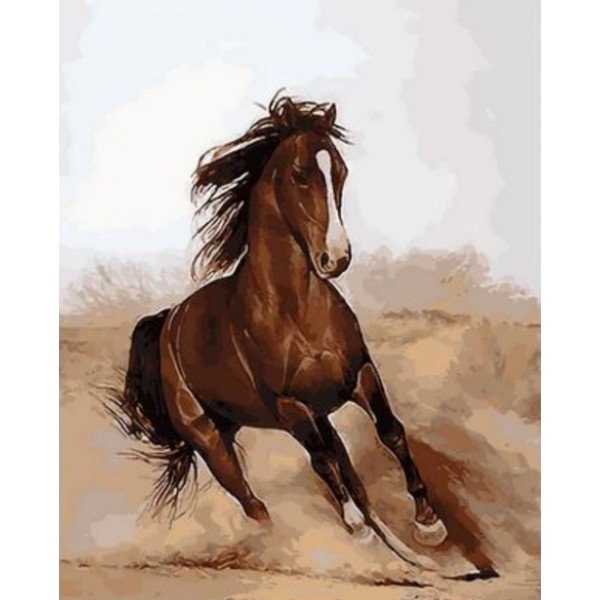 Animal Horse Diy Paint By Numbers Kits Australia