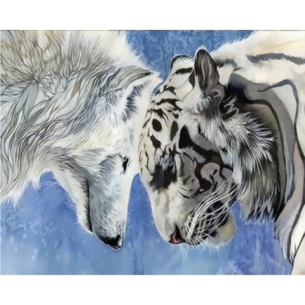 Animal Wolf and tiger Diy Paint By Numbers Kits Australia