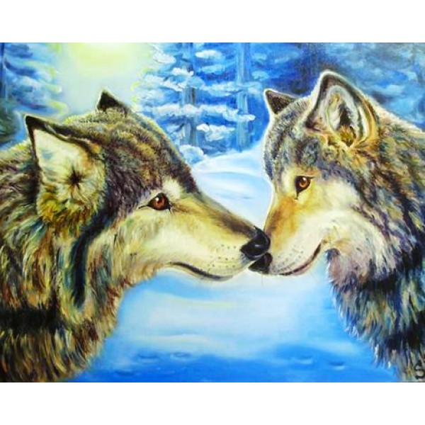 Animal Wolf Diy Paint By Numbers Kits Australia