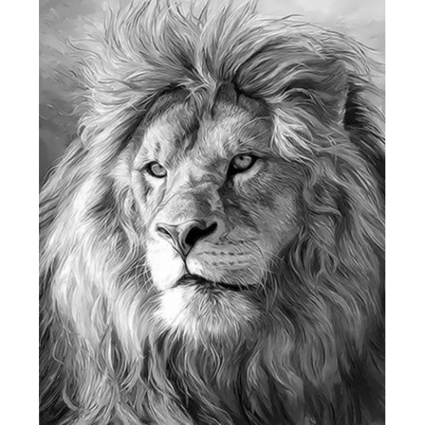 Animal Lion Diy Paint By Numbers Kits Australia