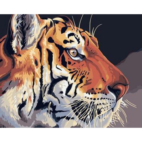 Animal Tiger Diy Paint By Numbers Kits Australia