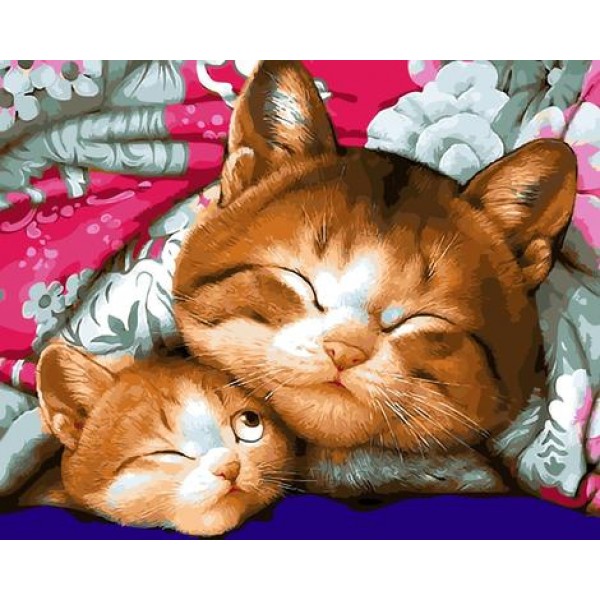 Lovely Cat Diy Paint By Numbers Kits Australia