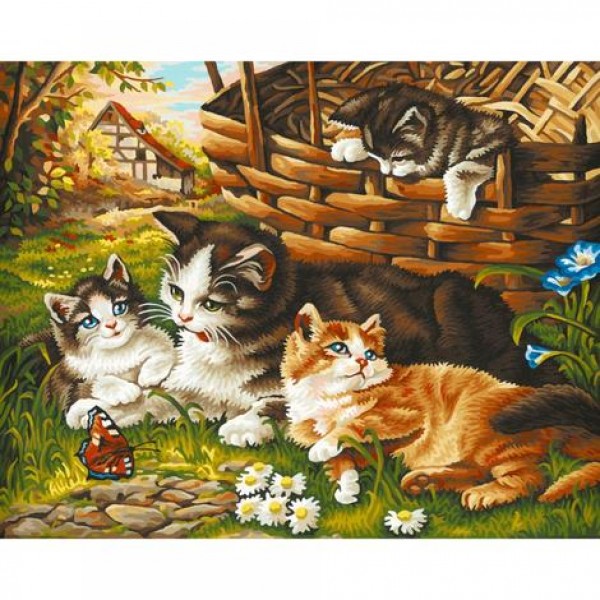 Cats Diy Paint By Numbers Kits Australia