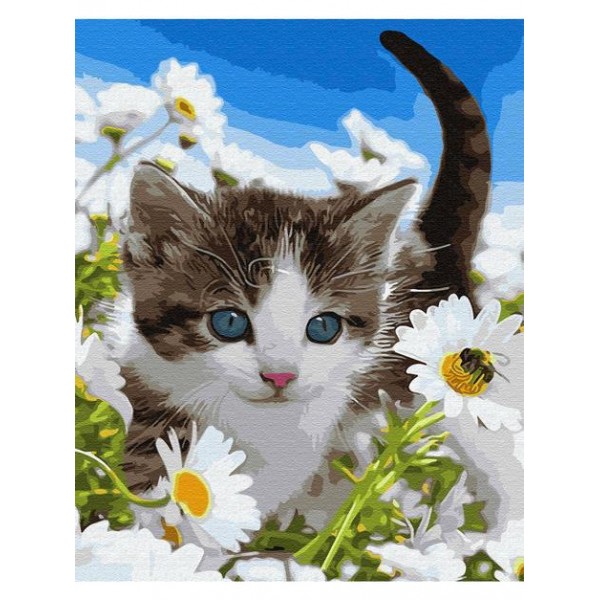 Cat In Flower Diy Paint By Numbers Kits Australia