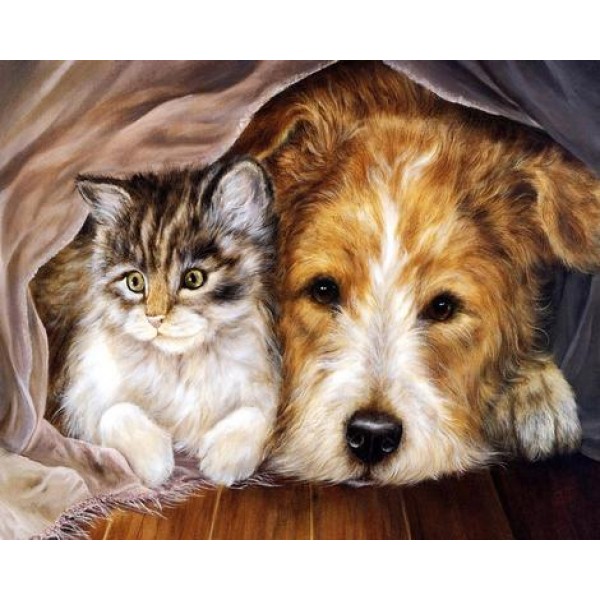 Cat Dog Diy Paint By Numbers Kits Australia