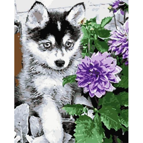 Flower Dog Diy Paint By Numbers Kits Australia