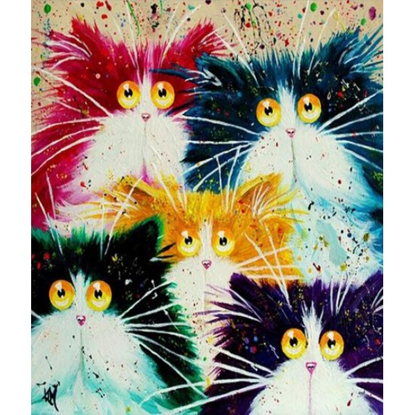 Pet Cat Diy Paint By Numbers Kits Australia