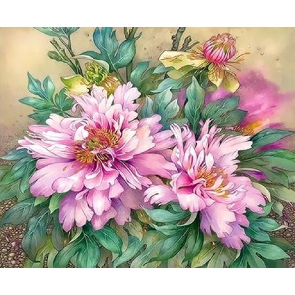 Flower Diy Paint By Numbers Kits Australia