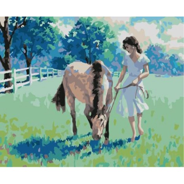 Beauty And Horse Diy Paint By Numbers Kits Australia
