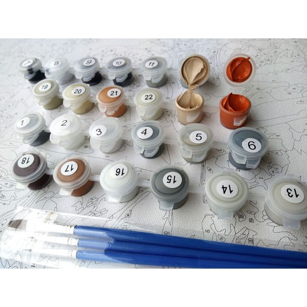 Janpese Woman Diy Paint By Numbers Kits Australia