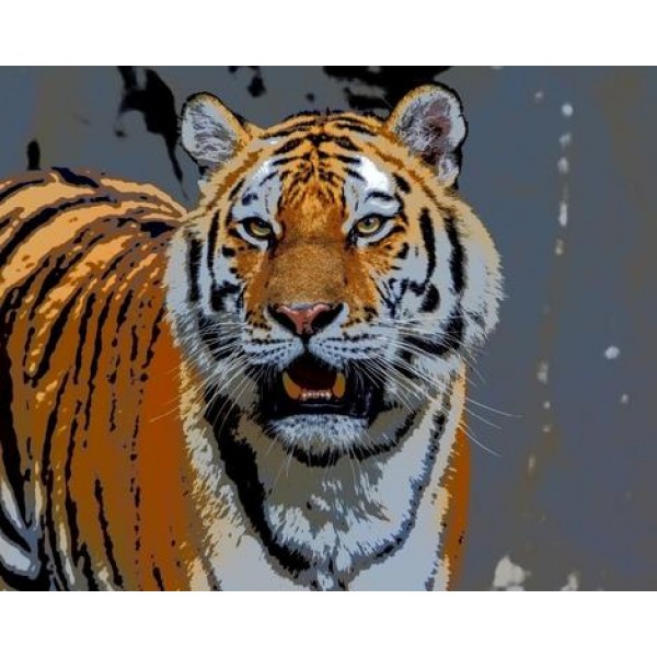 Tiger Diy Paint By Numbers Kits Australia
