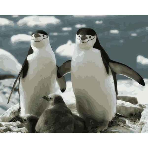 Penguin Diy Paint by Numbers Kits Australia