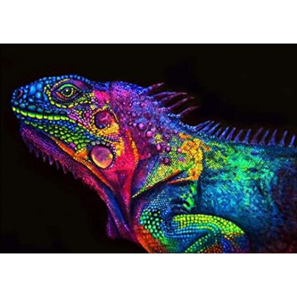Lizard Diy Paint By Numbers Kits Australia