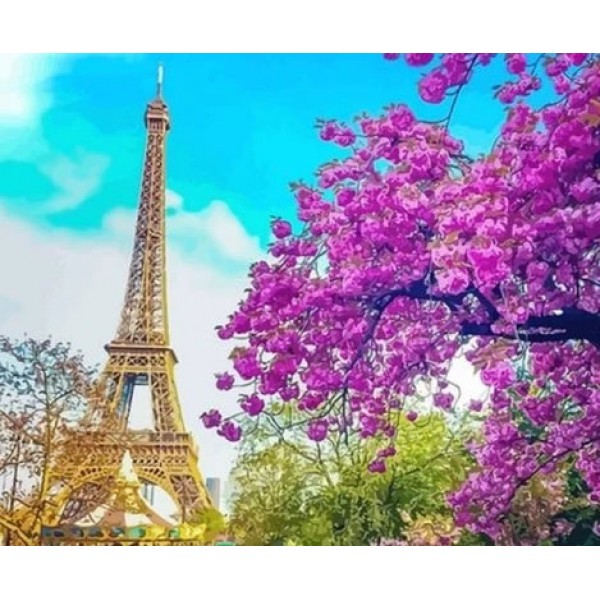 Flower Landscape Eiffel Tower Diy Paint By Numbers Kits LS289 Australia