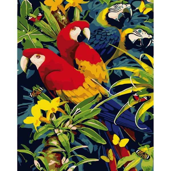 Parrot Diy Paint By Numbers Kits Uk WM-1321 Australia