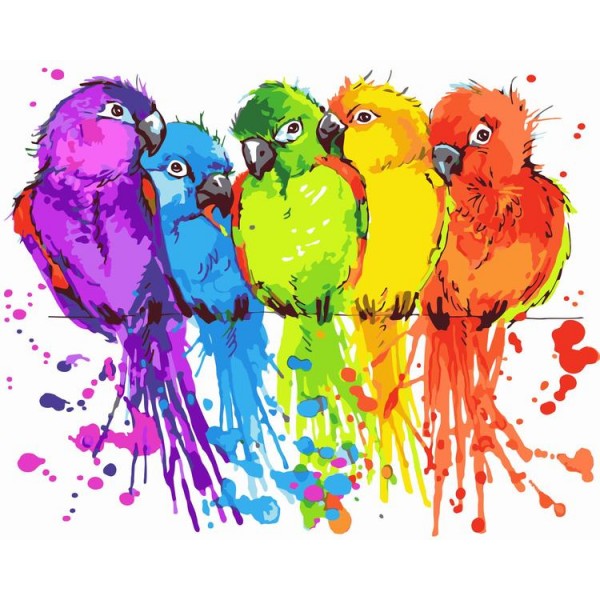 Parrot Diy Paint By Numbers Kits Uk WM-236 Australia