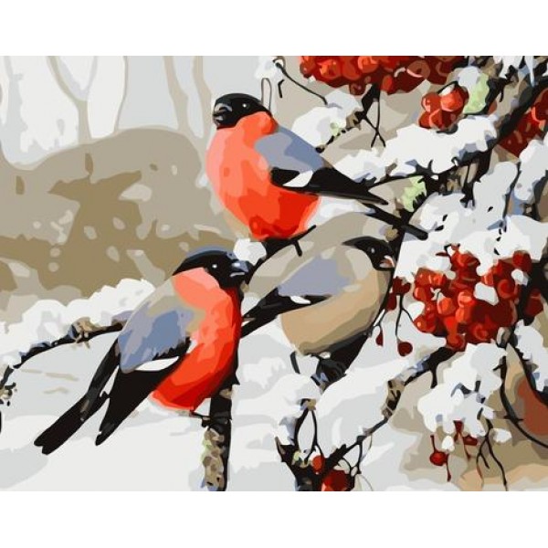Bird Diy Paint By Numbers Kits Australia