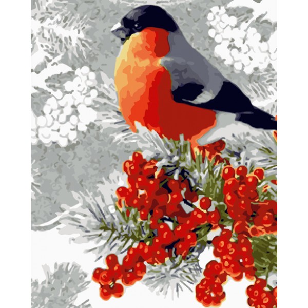 Bird Diy Paint By Numbers Kits Australia