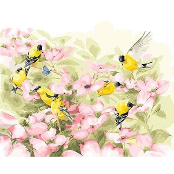 Bird In Flower Diy Paint By Numbers Kits Australia