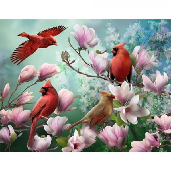 Colorful Bird Diy Paint By Numbers Kits Australia