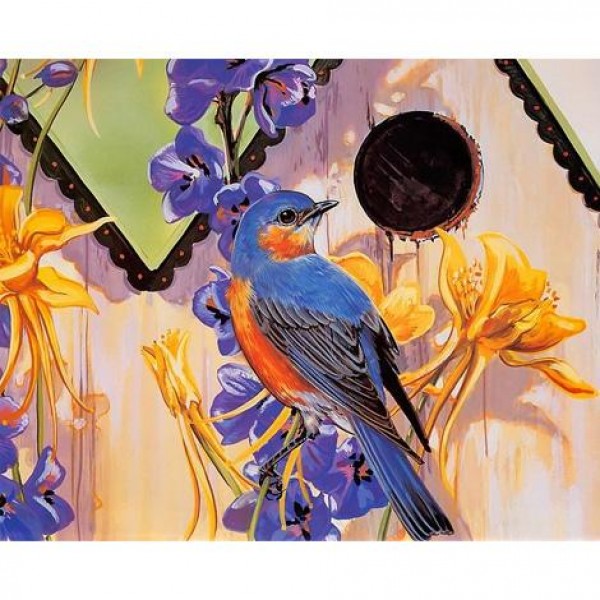 Colorful Bird Diy Paint By Numbers Kits Australia