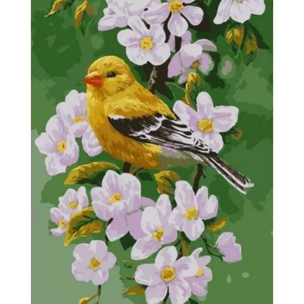 Flying Animal Bird Diy Paint By Numbers Kits Australia