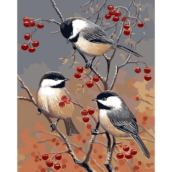 Birds On The Fruit Tree Diy Paint By Numbers Kits Australia
