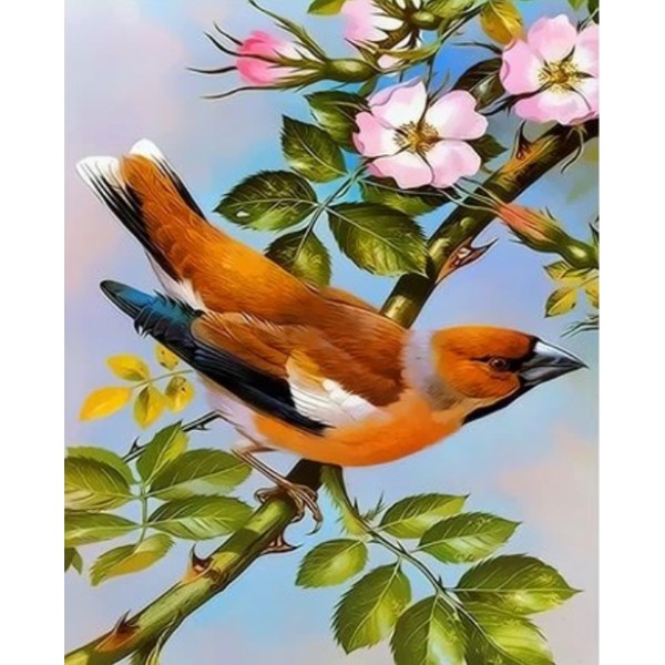 Flying Animal Bird Diy Paint By Numbers Kits Australia