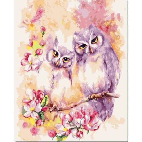 Flying Animal Two Lovely Owl Diy Paint By Numbers Kits Australia