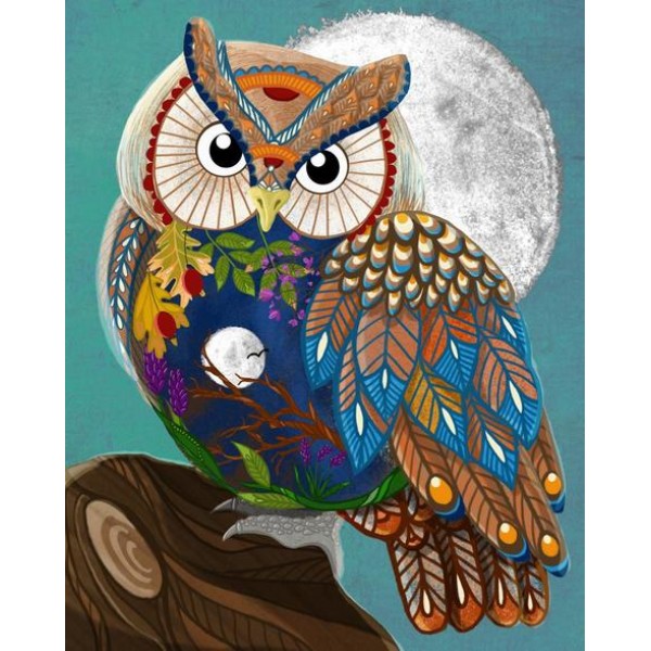 Color Animal Owl Diy Paint By Numbers Kits Australia