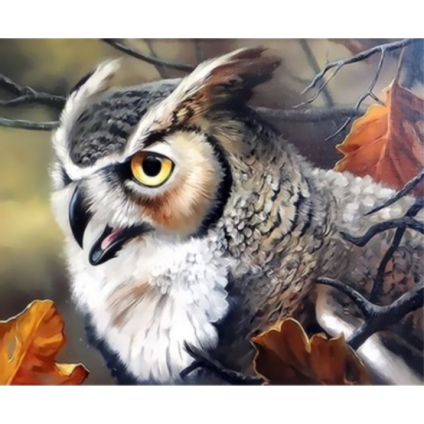 Owl Diy Paint By Numbers Kits Australia