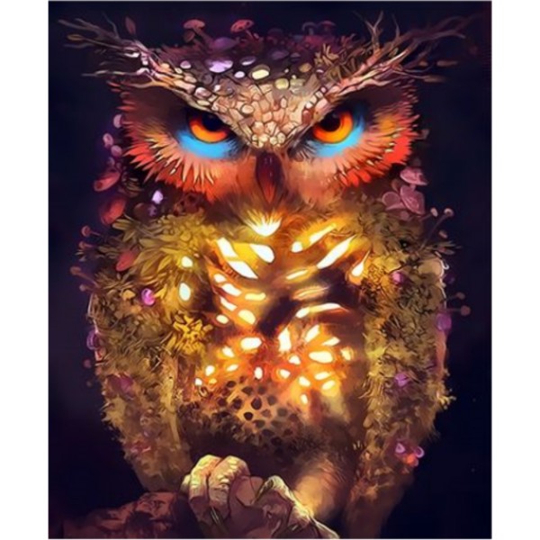 Owl Diy Paint By Numbers Kits Australia