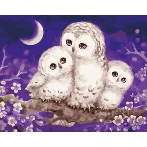 Owl Diy Paint By Numbers Kits Uk ZXQ2610 Australia