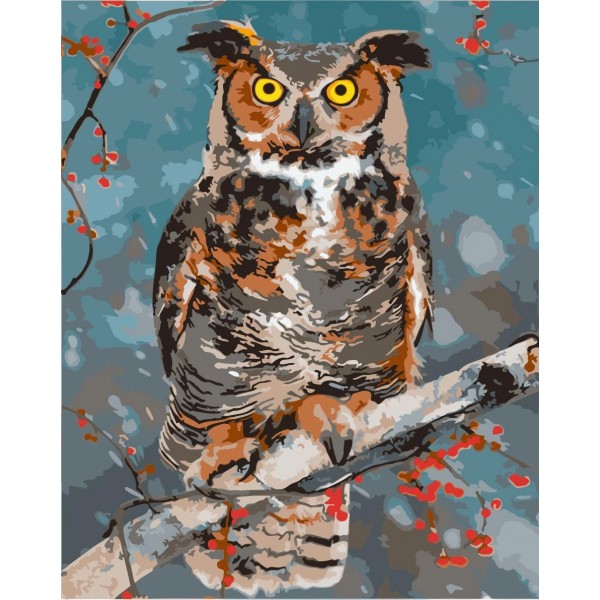 Owl Diy Paint By Numbers Kits Uk WM-1345 ZXQ3745 Australia