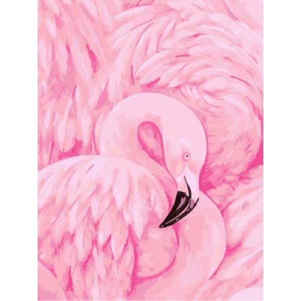 Flying Animal Flamingo Diy Paint By Numbers Kits Australia