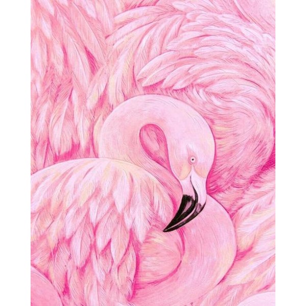 Flamingos Diy Paint By Numbers Kits Australia