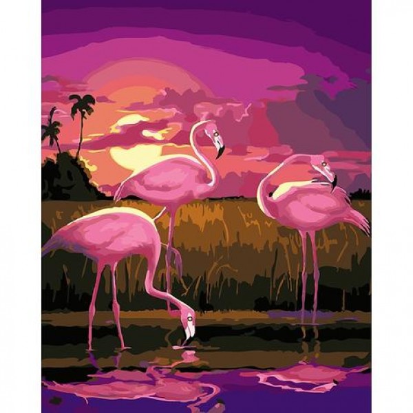 Flamingo Diy Paint By Numbers Kits Australia