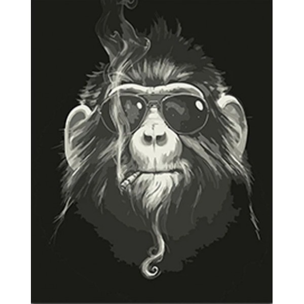 Monkey Diy Paint By Numbers Kits Australia