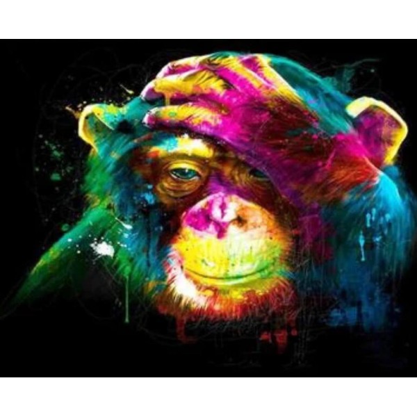 Animal Colorful Monkey Diy Paint By Numbers Kits For Adults Australia